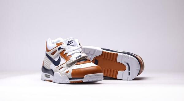 Nike Air Trainer 3 Prm 